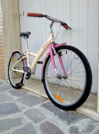 Bici da bambina 24"