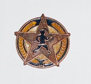 Insignia Kuomintang China 1946