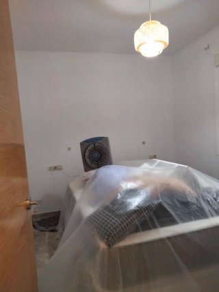 Pintor económico