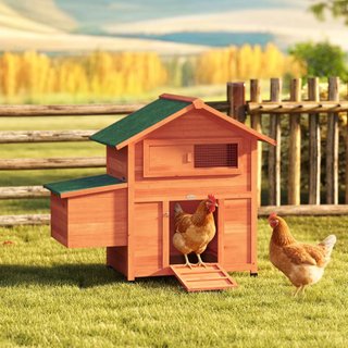 Gallinero de Madera con Nido, Gallinero para Gallinas Exteriores, Techo Impermeable, Bandeja Extraíble, 2 Perchas, Rampa, Ventana, Casita para 2 Gallinas, Patos, Jardín, 113.5x67.5x95.5cm, Naranja