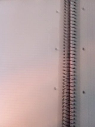 Cuaderno 5 Status European