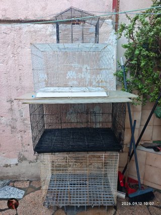 Jaula grande,animales, Gallina,Palomas, pájaros,