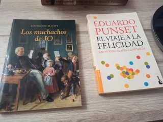 Lote de libros variado