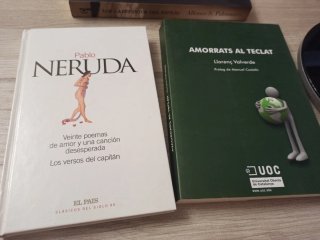 Lote de libros variado