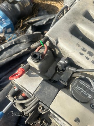 Motor Mercedes V12