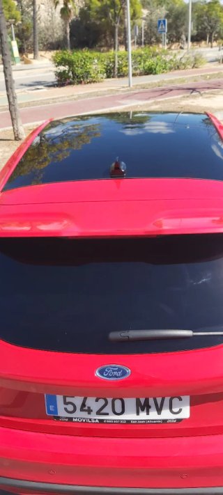 Ford Focus 2024