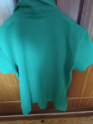 Polo Ralph Lauren Verde T.M Custom Fit
