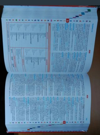 Diccionario Básico Primaria