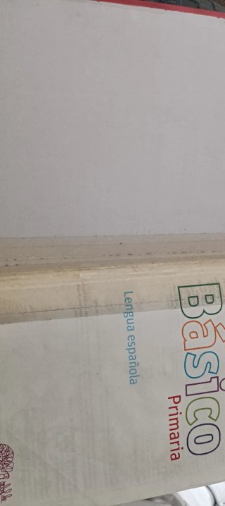 Diccionario Básico Primaria