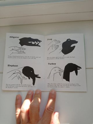 Libro de 32 siluetas Hand Shadows