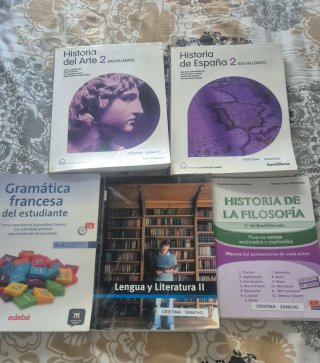 Lote de 5 libros de Bachillerato
