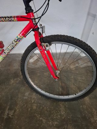 Bicicleta Montaña Vintage