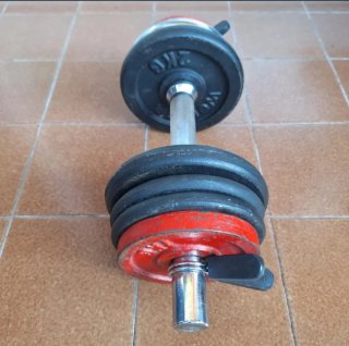 Mancuerna 12 kg ajustable