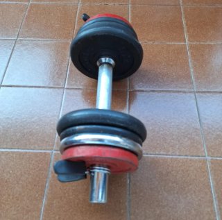 Mancuerna 12 kg ajustable