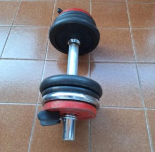 Mancuerna 10 kg ajustable