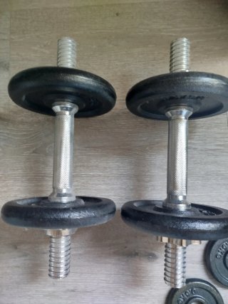 Mancuernas ajustables con discos