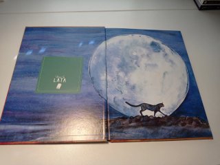Libro - cuento Yo Soy Gato- I Am Cat