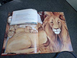 Libro - cuento Yo Soy Gato- I Am Cat