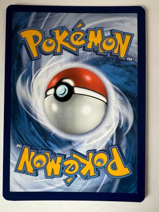 Lote Pokémon TCG Nidoking EX + Drampa