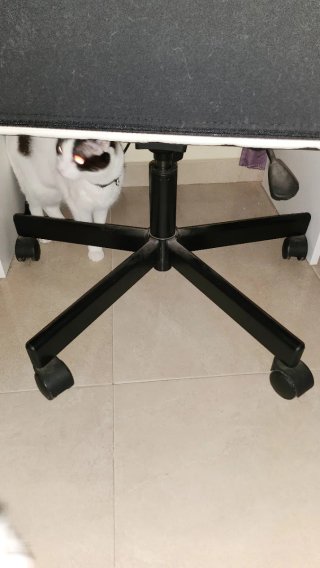 Sillón de piel blanco