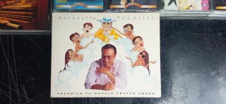Lotto Musicassette Italiane Pop Rock