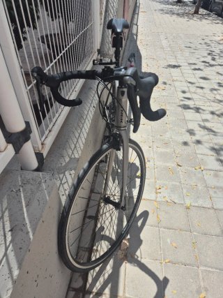 Bicicleta Trek Domane AL 3