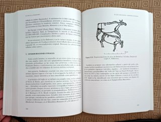 El arte en la prehistoria. Grado UNED