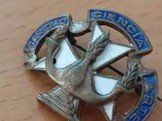Insignia Caridad, Ciencia y Arte