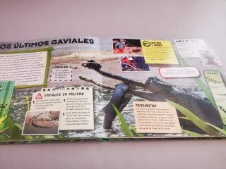 Planeta Animal Salvemos a los animales en peligro