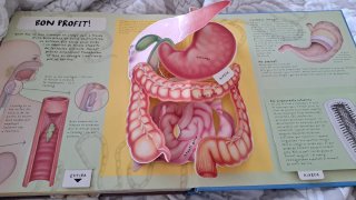 Libro El Cos Humà (Cuerpo Humano) 3D