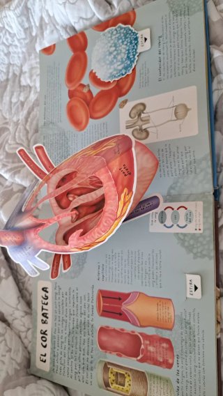 Libro El Cos Humà (Cuerpo Humano) 3D