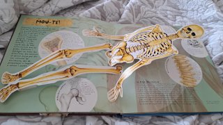 Libro El Cos Humà (Cuerpo Humano) 3D
