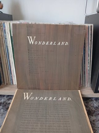 Vinilo LP Erasure Wonderland 1986 🇪🇦