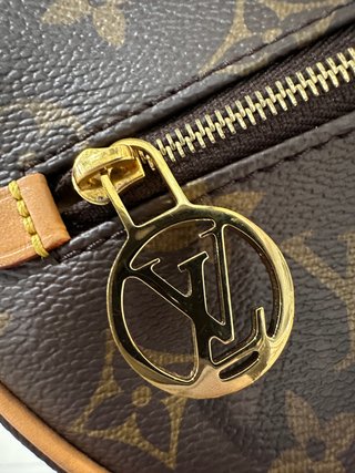 Louis Vuitton MarrónLoop