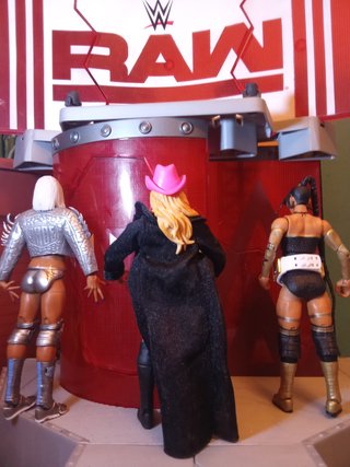 Figuras WWE Mattel Elite