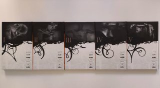 Sandman completa 10 tomos ECC