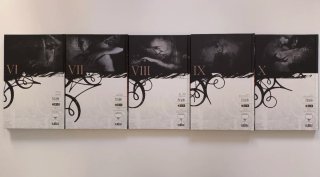 Sandman completa 10 tomos ECC