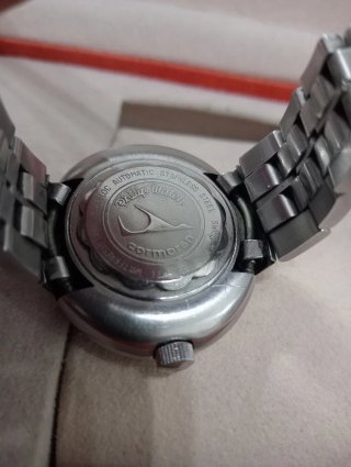 Orologio Philip Watch Cormoran Automatic
