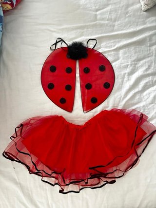 Disfraz Frozen  Lady Bug Zorro  Vampiro