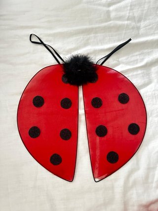 Disfraz Frozen  Lady Bug Zorro  Vampiro