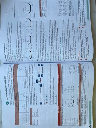 Biología, Geología y CC. Ambientales 1º Bachill...