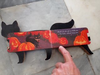 Cuento de Halloween One Black Cat