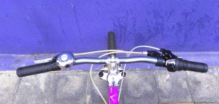 Bicicleta Giant 24 Niña Monoplato Morada