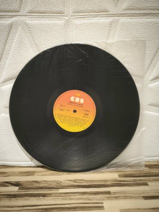 Vinilo Roberto Carlos Canta en Español