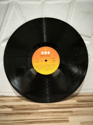 Vinilo Roberto Carlos Canta en Español