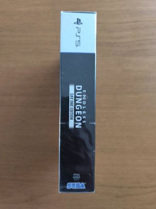 Endless Dungeon Day One Edition PS5
