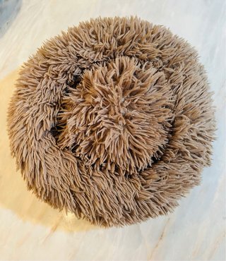Acogedora cama para tu querida mascota