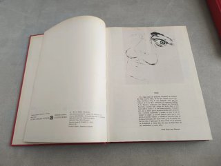 DON QUIJOTE DE LA MANCHA ILUSTRADO POR DALÍ