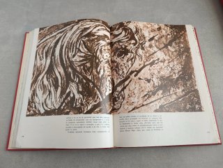 DON QUIJOTE DE LA MANCHA ILUSTRADO POR DALÍ