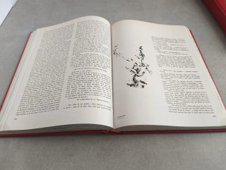 DON QUIJOTE DE LA MANCHA ILUSTRADO POR DALÍ